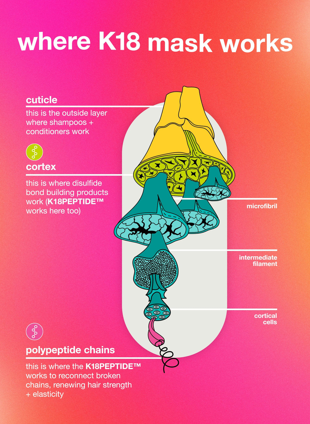 repair + protect minis